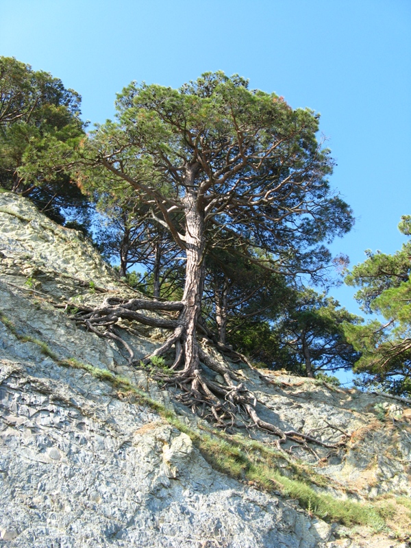 Бетта, Краснодарсский край - Официальный сайт хутора Бетта - http://EnjoyBetta.com